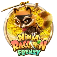 Ninja Raccoon Frenzy